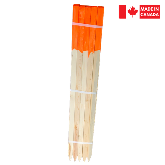 Lath Bundle 48" - Painted Tops orange