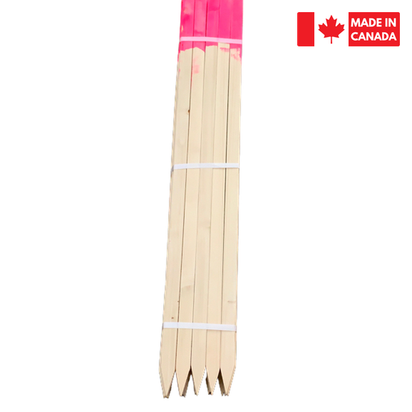 Lath Bundle 36" - Painted Tops pink