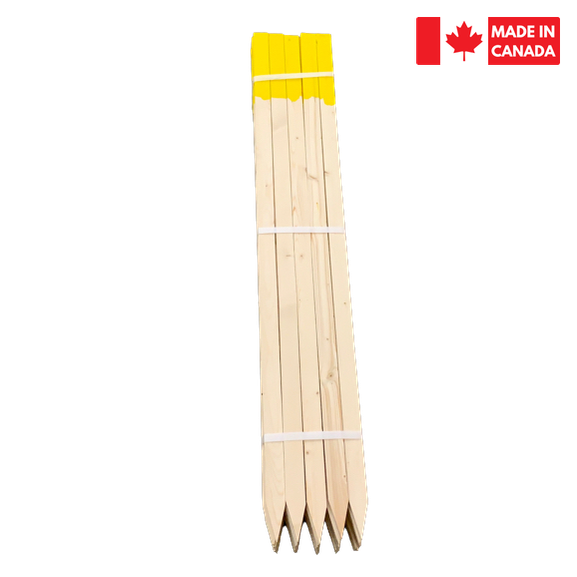 Lath Bundle 18" - Painted Tops yellow