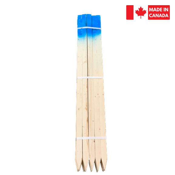 Lath Bundle 48" - Painted Tops blue