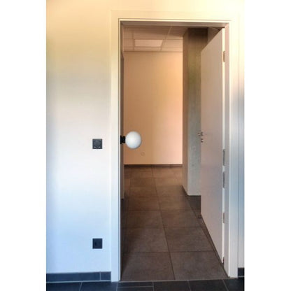 Laser Scanner Spheres RSLB10M and RSLB10SV