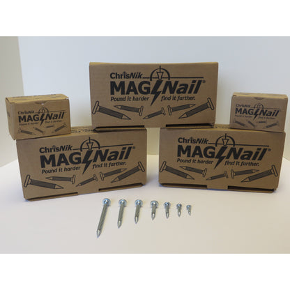 MagNails Box (100)