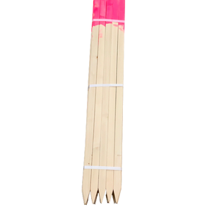 Lath Bundle 18" - Painted Tops pink