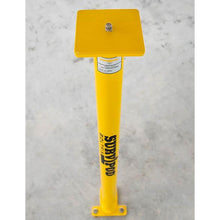 Survipodâ„¢ Boltfix